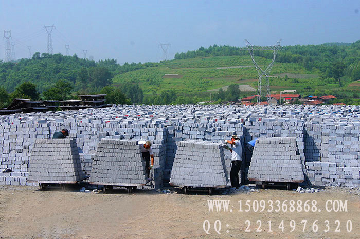 粉煤灰蒸養(yǎng)磚生產線